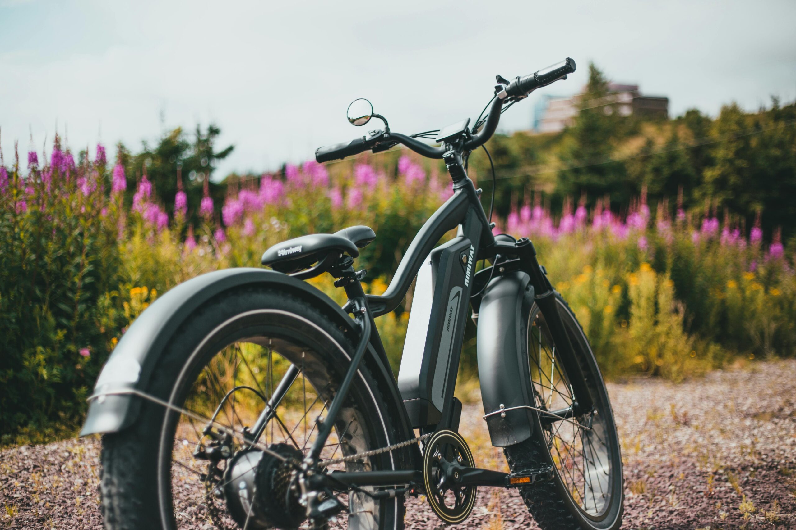 Revolutionizing Sustainable Hospitality: The Growing Demand for E-Bikes at Resorts